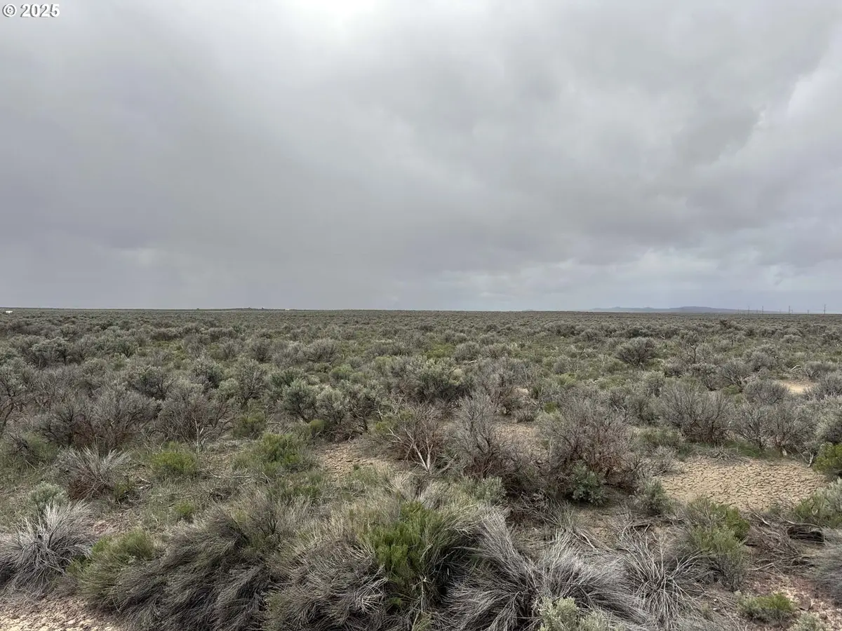 Fossil Lake Road #100, Silver Lake Fort Rock, OR 97641 - Image #1