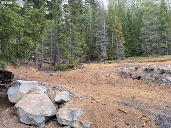 6 Royce Pine Rd, CrescentLake, OR 97733