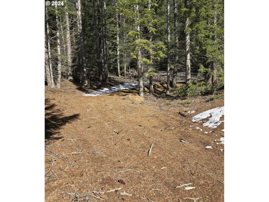 6 Royce Pine Rd, Crescent Lake, OR 97733 - #2