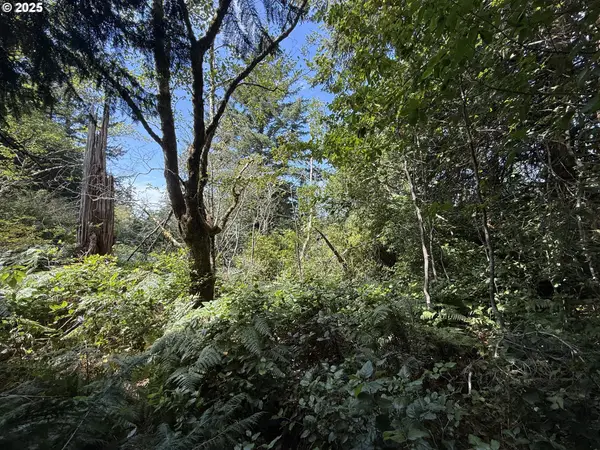 Averill Hill Rd, PortOrford, OR 97465