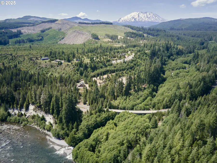 192 Sasquatch Way, Cougar, WA 98616 - #3