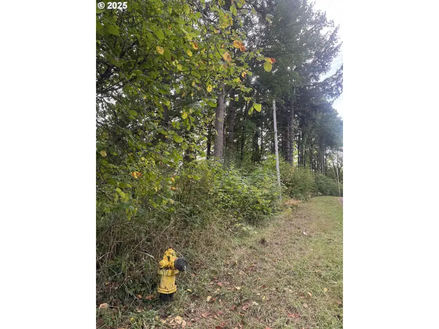 339th St, Lacenter, WA 98629 - Image #2