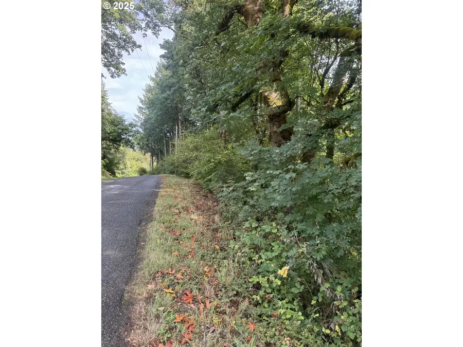 339th St, Lacenter, WA 98629 - Image #3