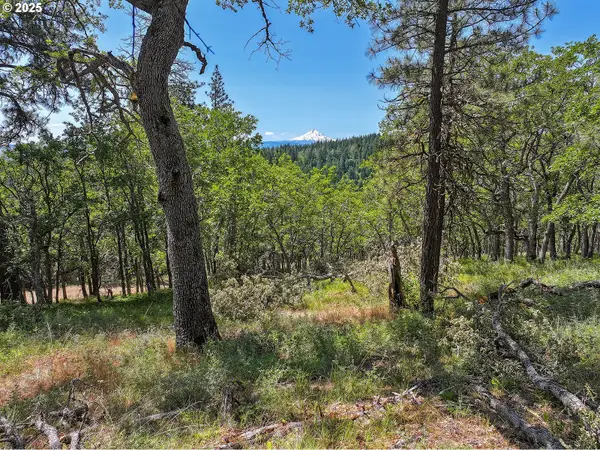 Oak Knoll Ridge Rd #11, Lyle, WA 98635