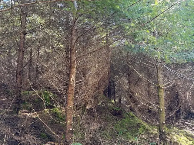 0 Steer Creek Rd, Blodgett, OR 97326 - Image #3