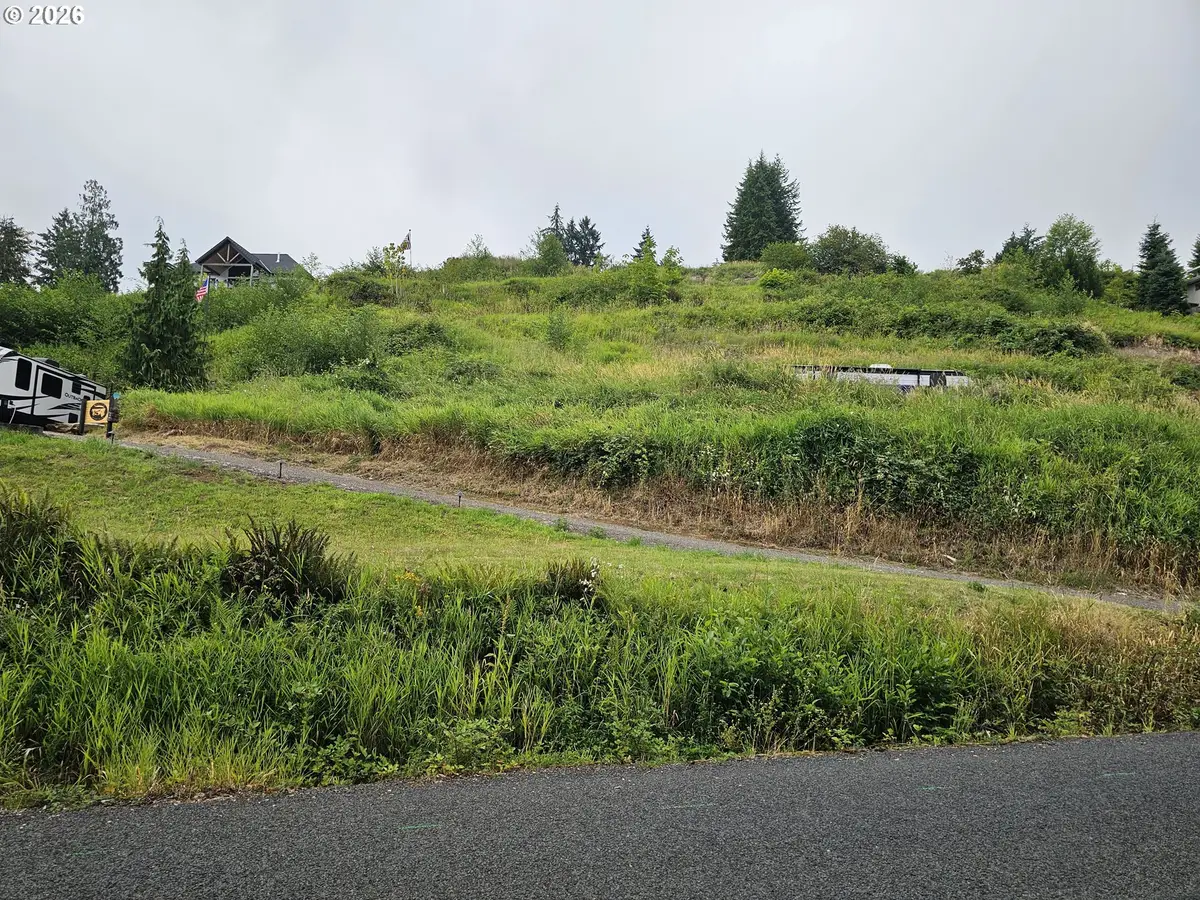 223 Lakeview Dr, Mossyrock, WA 98564 - #1