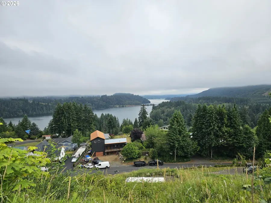 223 Lakeview Dr, Mossyrock, WA 98564 - #2