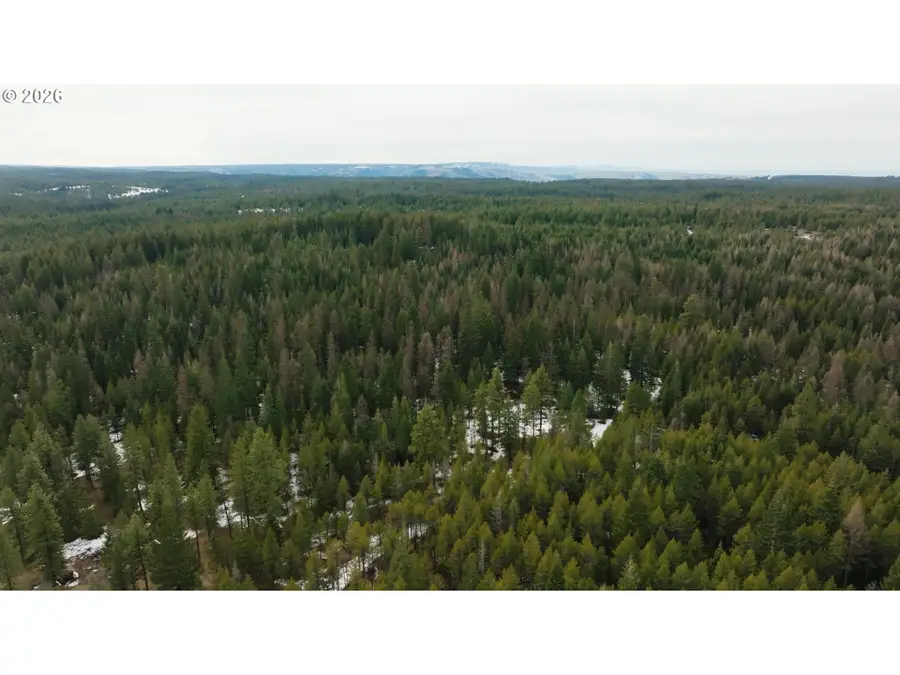 0 Ross Rd, Meacham, OR 97859 - #3