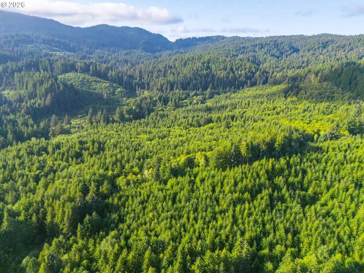 0 N Shingle Bolt Rd, Otis, OR 97368 - #1