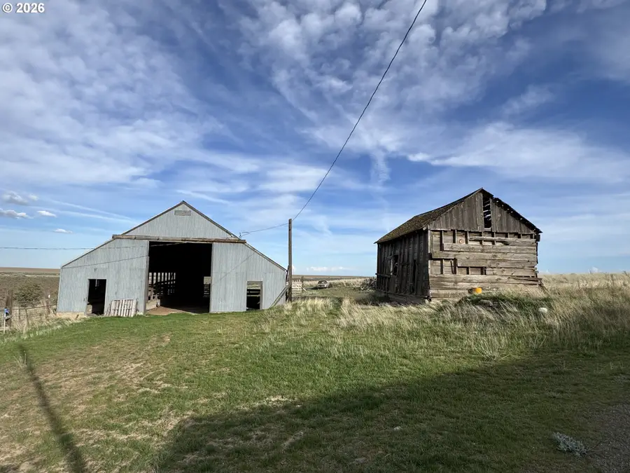 Ferguson Rd, Bickleton, WA 99322 - #3