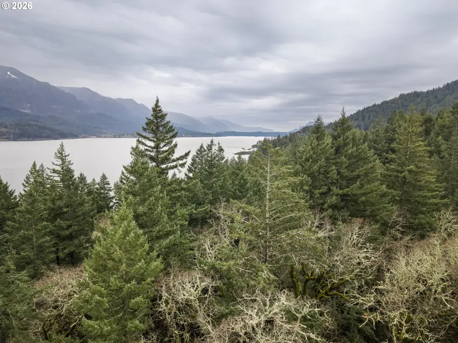 Seward Rd, Carson, WA 98610 - #3