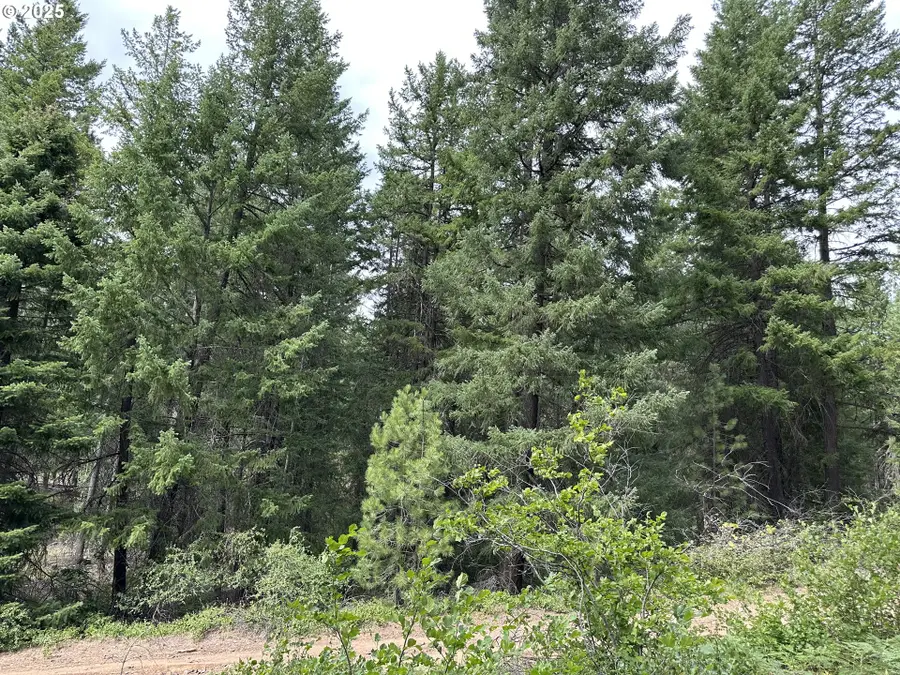 000 Forest Glen, Goldendale, WA 98620 - Image #2