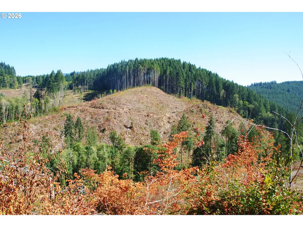 00 Van Horn (140) Rd, Alsea, OR 97324 - Image #1