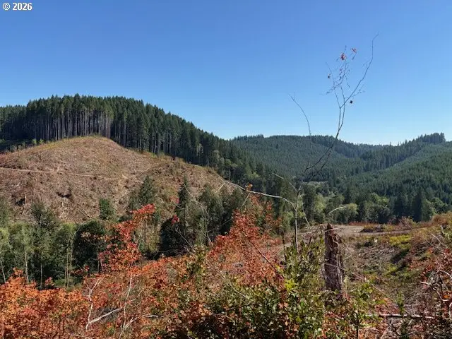 00 Van Horn (140) Rd, Alsea, OR 97324 - Image #2