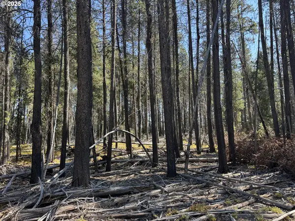 Cloudcap Drive #6, Chiloquin, OR 97624