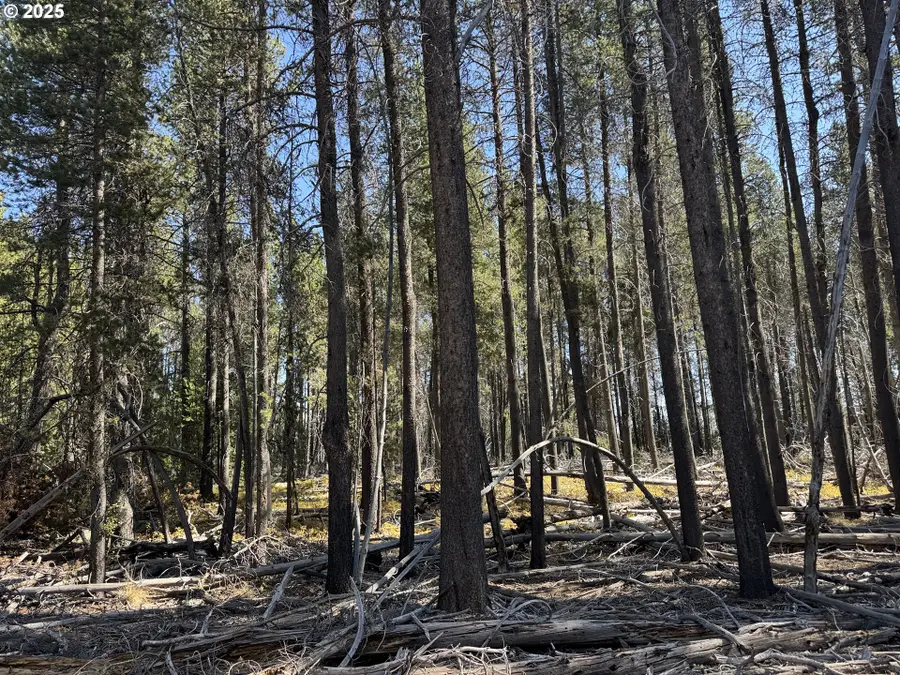 Cloudcap Drive #6, Chiloquin, OR 97624 - #2