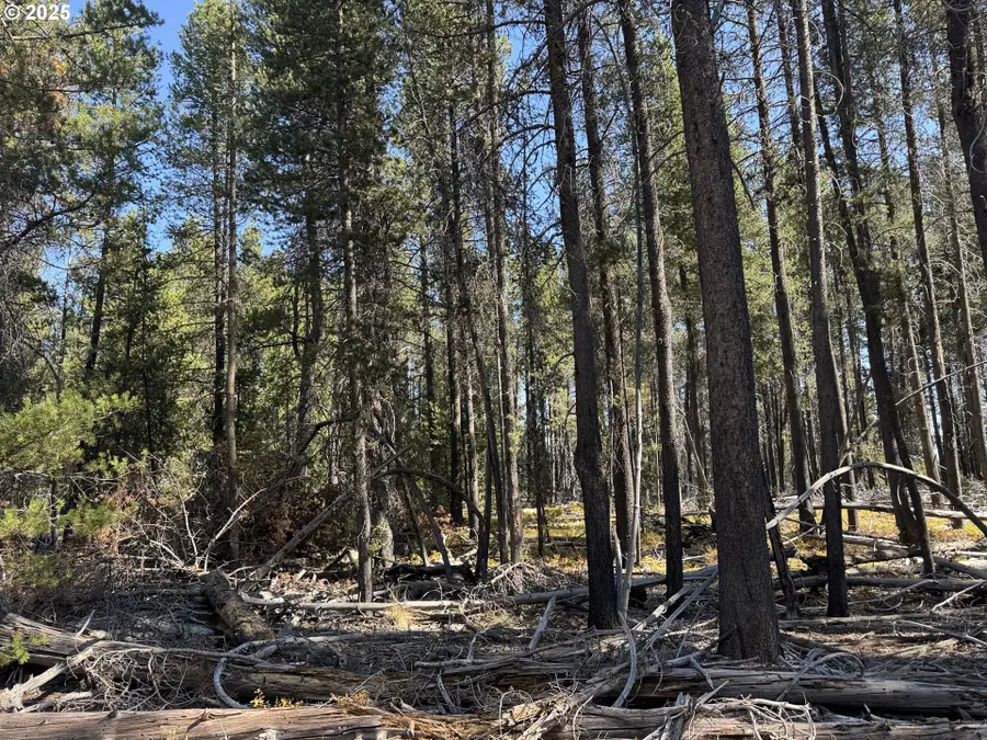 Cloudcap Drive #6, Chiloquin, OR 97624 - #3