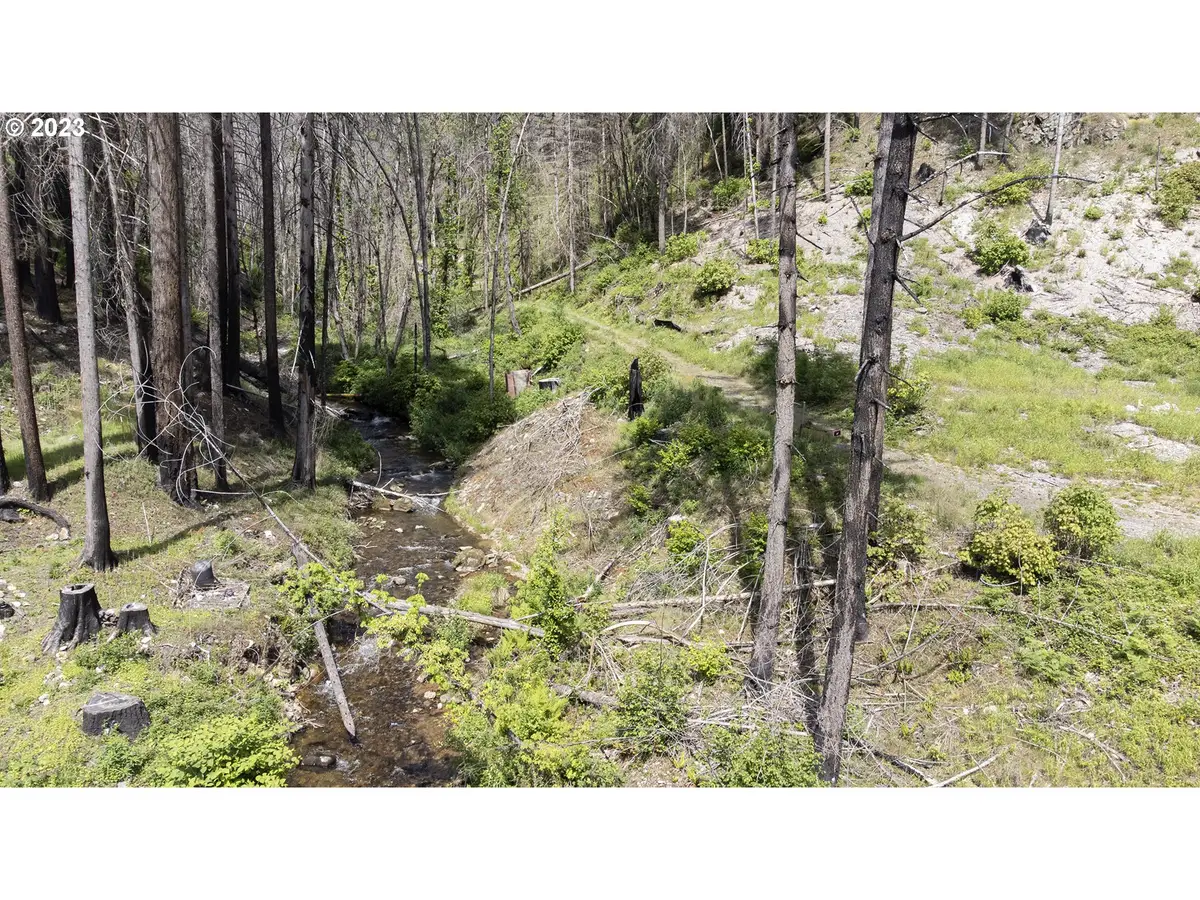 47983 Mckenzie Hwy, Vida, OR 97488 - Image #1