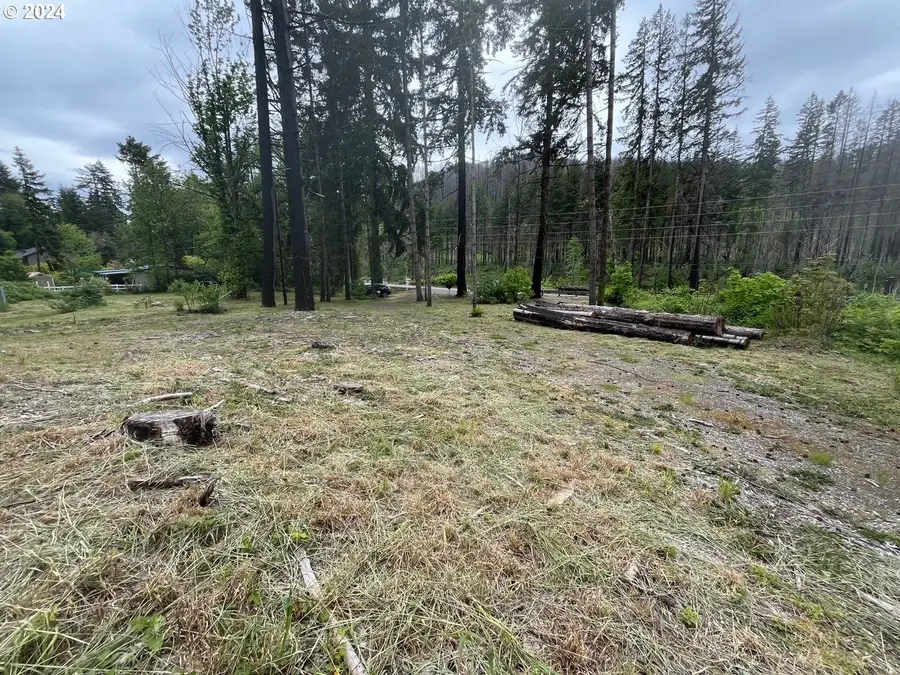 47983 Mckenzie Hwy, Vida, OR 97488 - Image #3