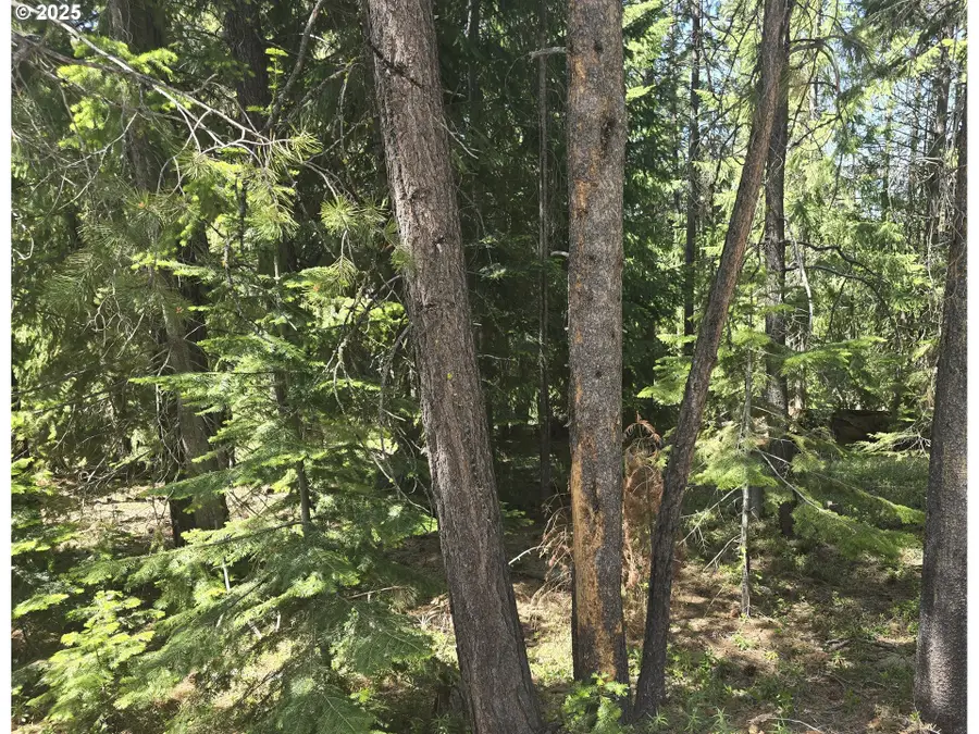 26 Diamond Peak Dr, Crescent Lake, OR 97733 - Image #2