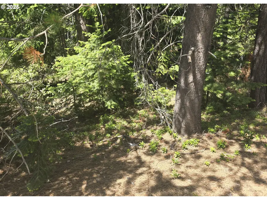 26 Diamond Peak Dr, Crescent Lake, OR 97733 - Image #3