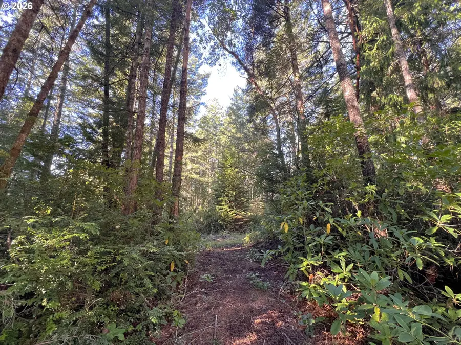 55769 Prosper Junction Rd, Bandon, OR 97411 - #3