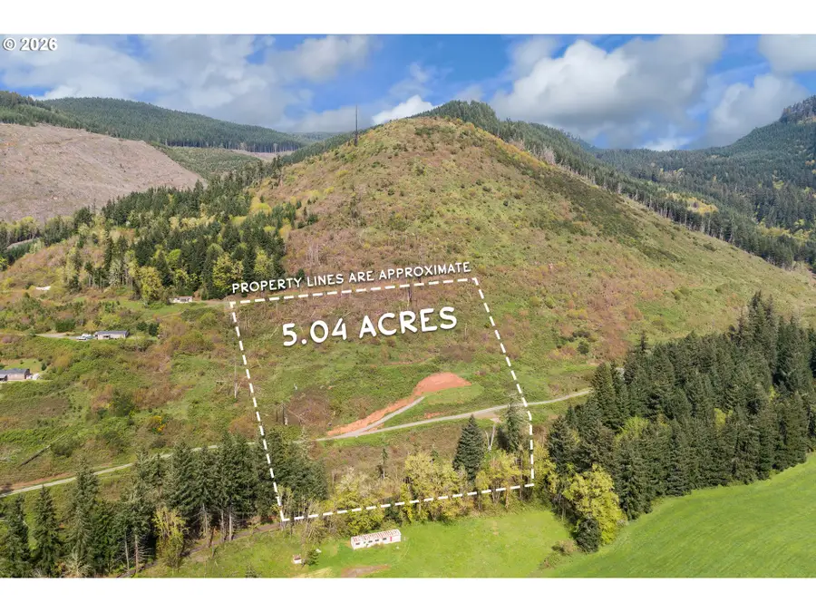 78693 Dowens Rd, Cottage Grove, OR 97424 - #2