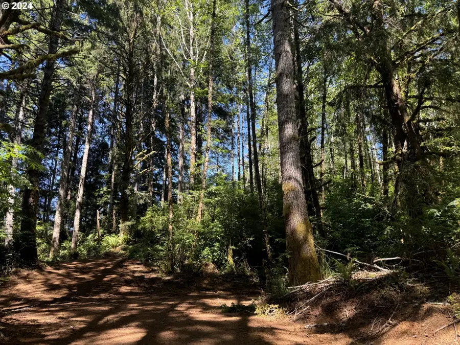 3 Hilltop Dr #1500, Lakeside, OR 97449 - #2