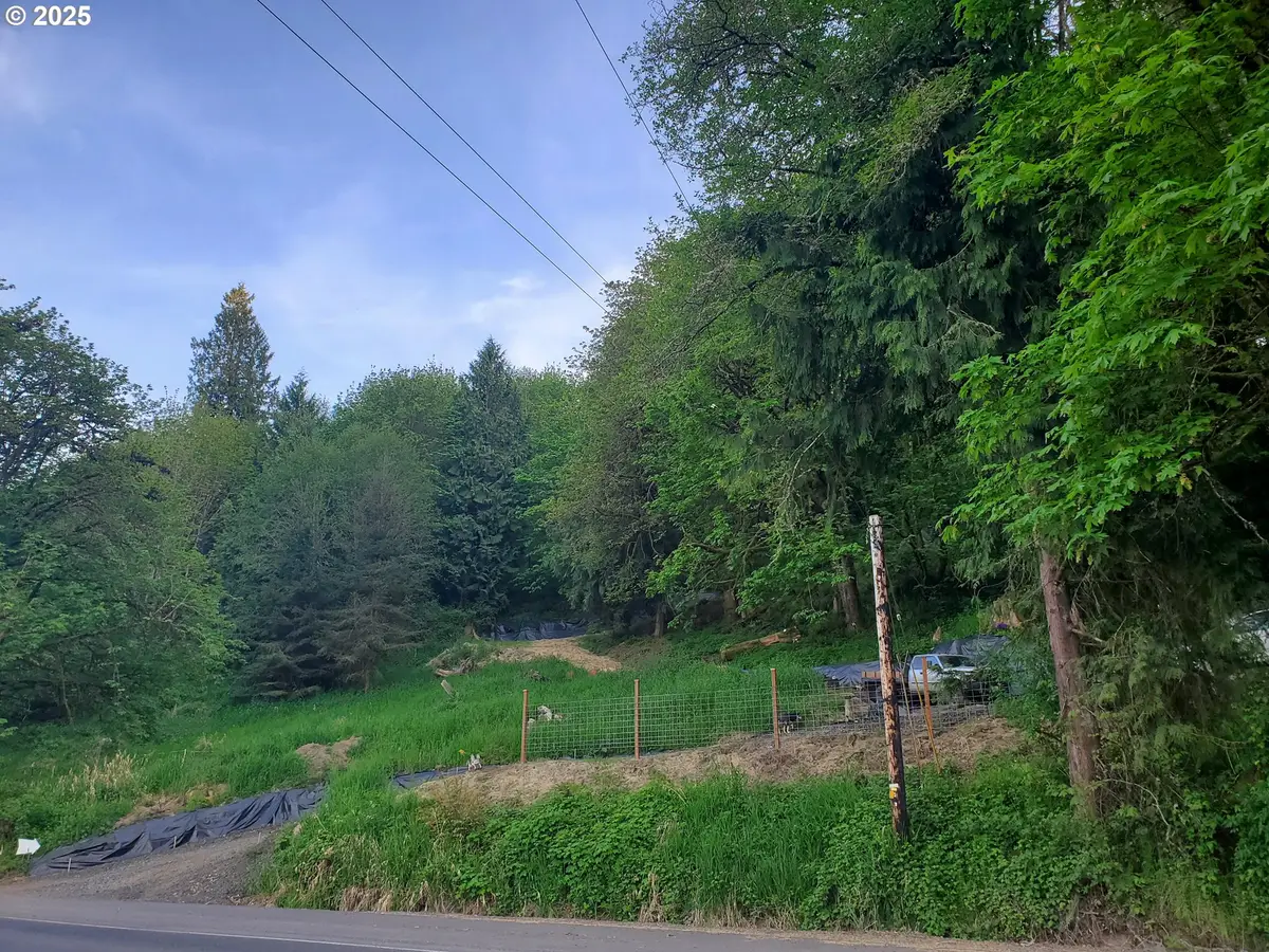 Beaver Falls Rd, Clatskanie, OR 97016 - Image #1