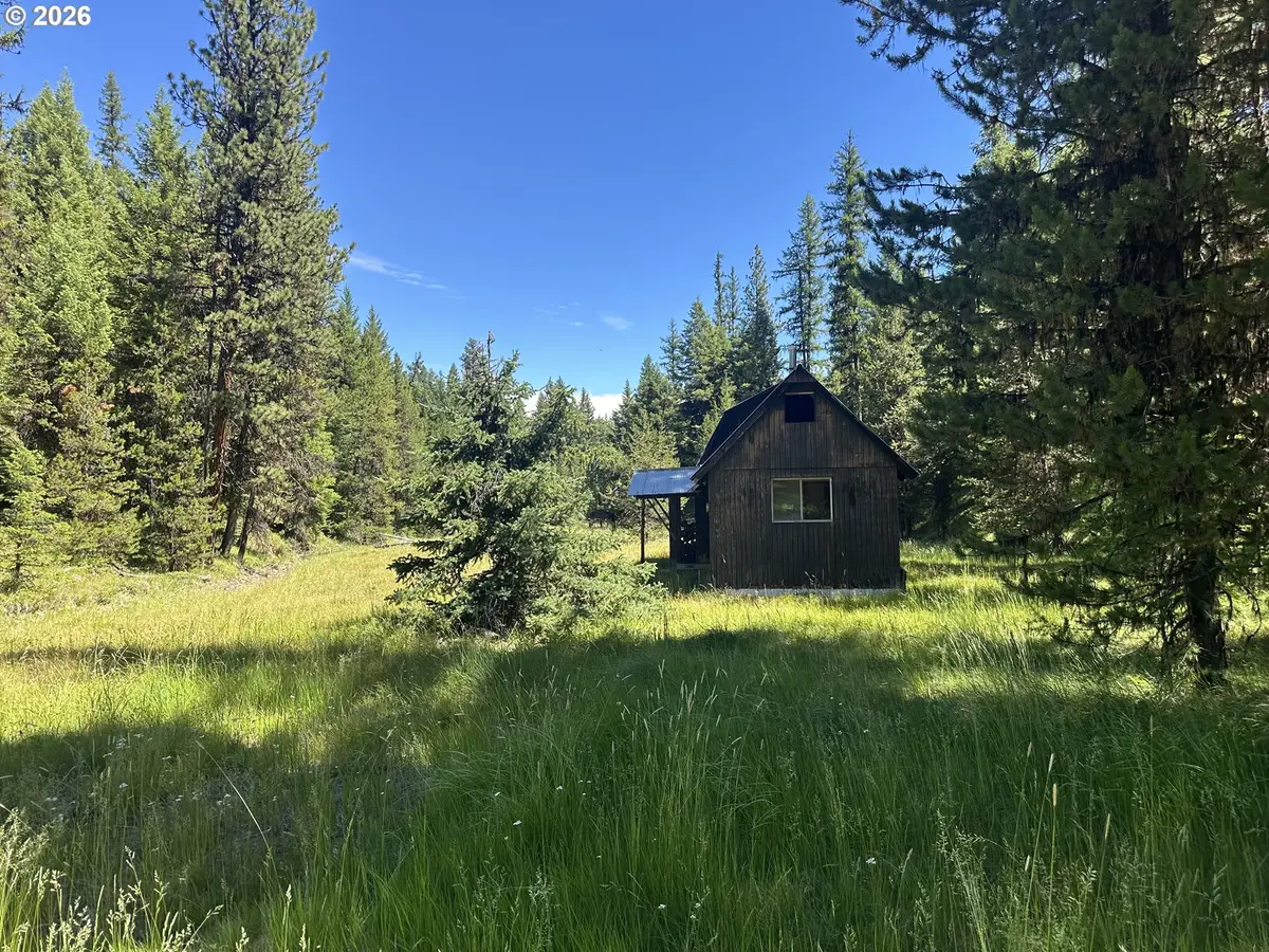 57034 Usfs 21 Rd, Starkey, OR 97850 - #1