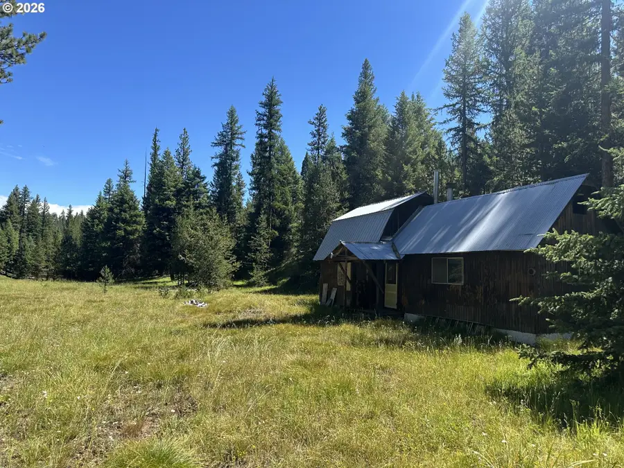 57034 Usfs 21 Rd, Starkey, OR 97850 - #2