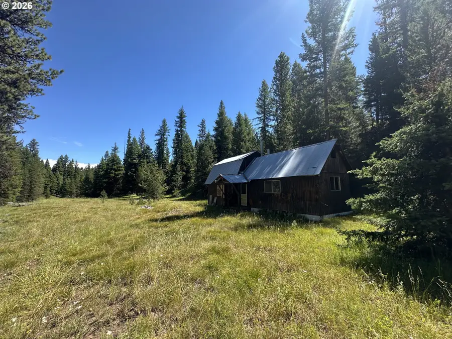 57034 Usfs 21 Rd, Starkey, OR 97850 - #3