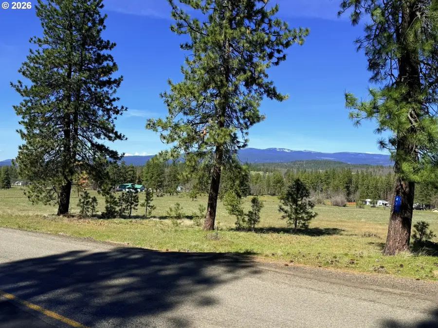 471 Woodland Rd, Goldendale, WA 98620 - #2