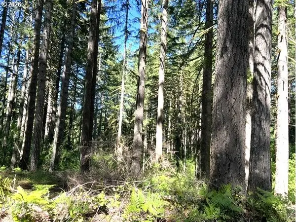 Tunnel Tract Parcel2, Banks, OR 97106