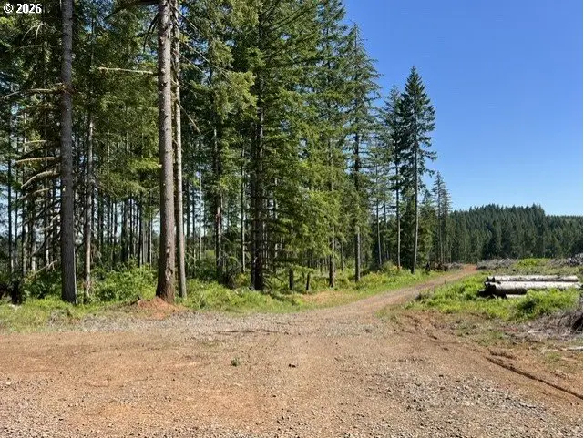 Tunnel Tract Parcel2, Banks, OR 97106 - #2