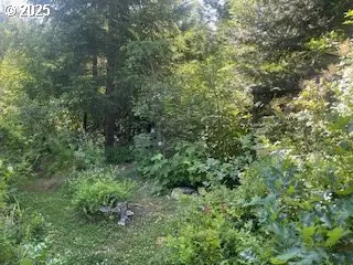 Oak Ridge Rd, White Salmon, WA 98672 - Image #3