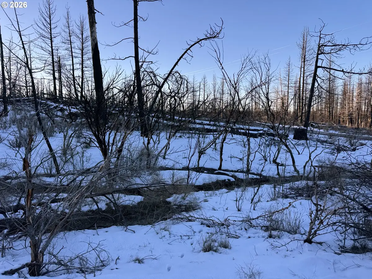 Hummingbird Dr #1, Bonanza, OR 97623 - Image #1