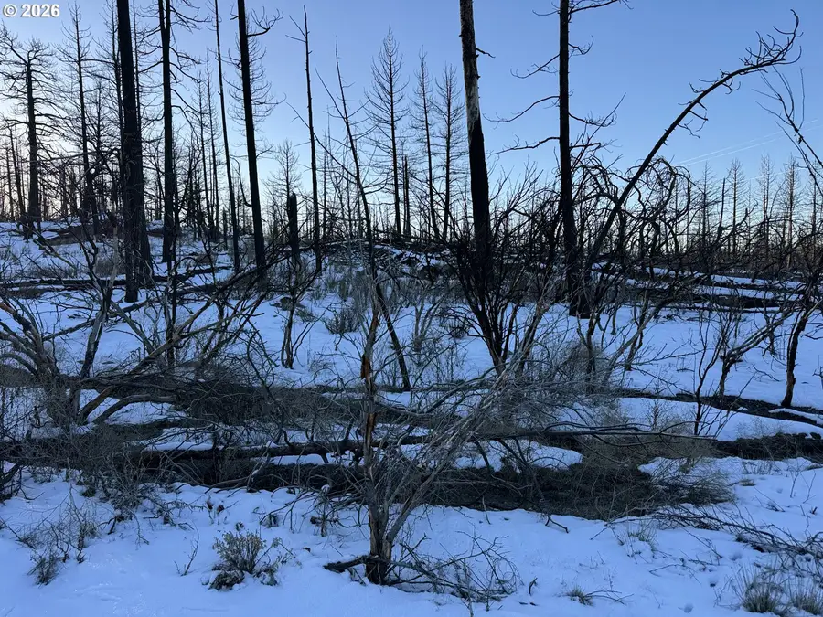 Hummingbird Dr #1, Bonanza, OR 97623 - Image #2