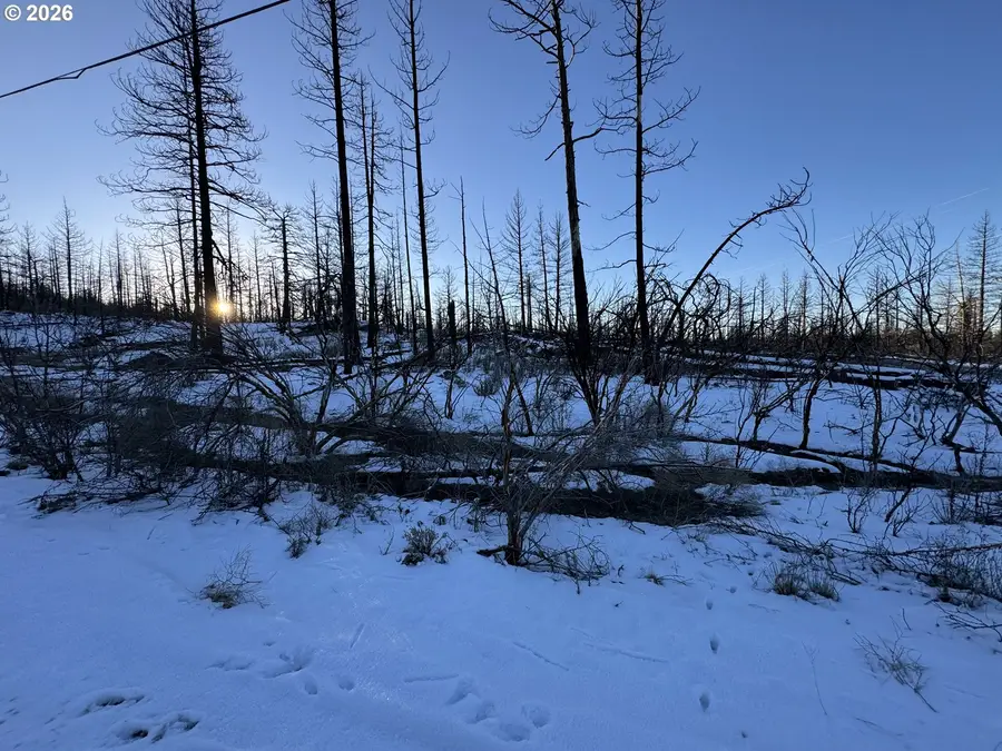 Hummingbird Dr #1, Bonanza, OR 97623 - Image #3