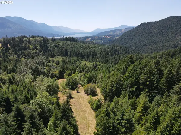 0 Dillon Rd, Stevenson, WA 98648