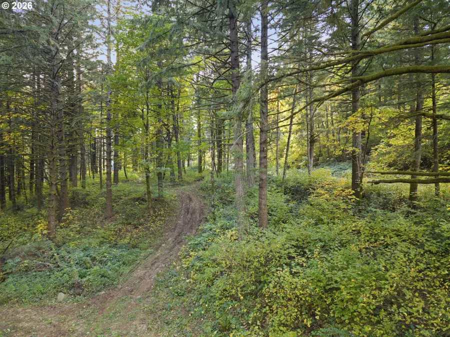 0 Warren Rd #4, North Bonneville, WA 98639 - #2