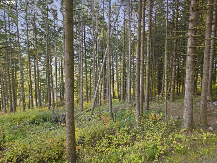 0 Warren Rd #4, North Bonneville, WA 98639 - #3