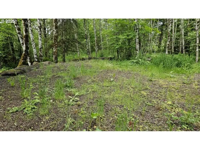 136 Peppermill Rd, Kelso, WA 98626 - Image #1