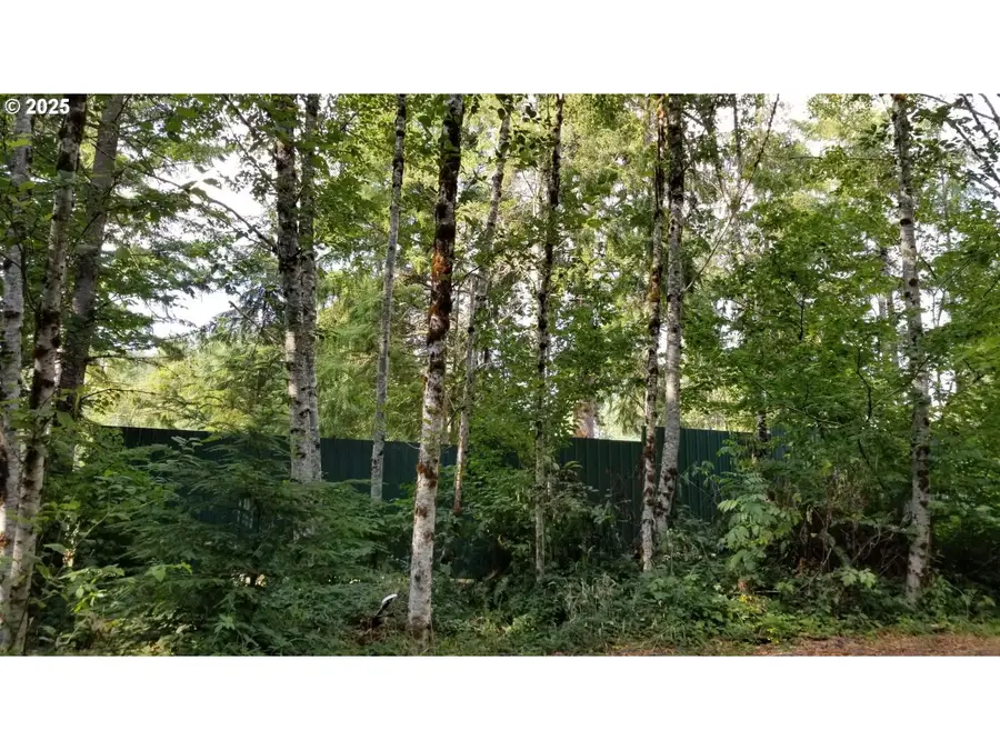 136 Peppermill Rd, Kelso, WA 98626 - Image #2