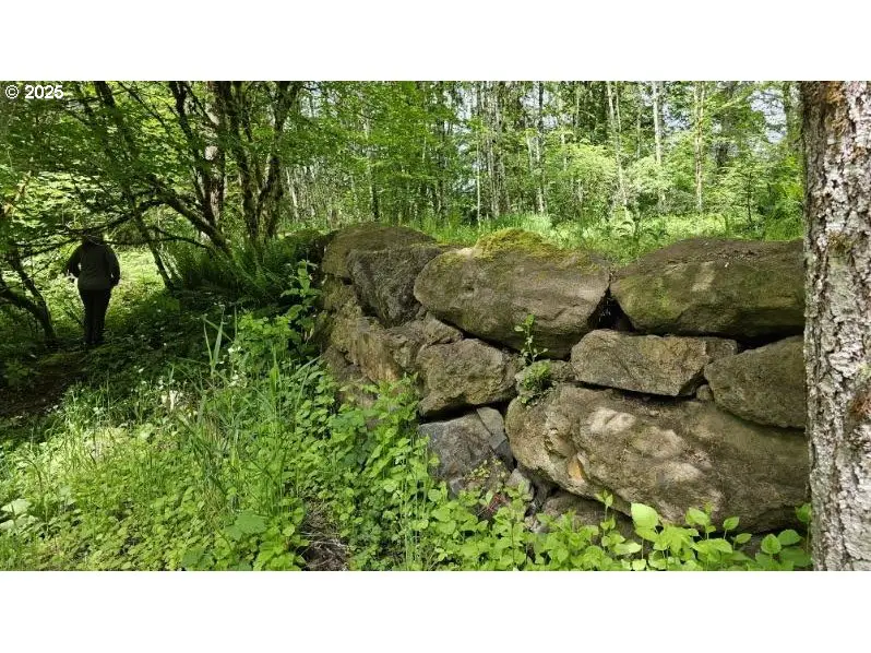 136 Peppermill Rd, Kelso, WA 98626 - Image #3