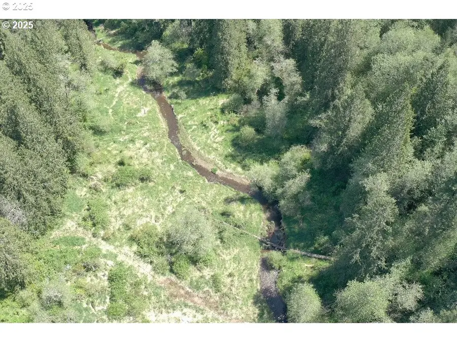 0 NE Elliott Rd #58, Yacolt, WA 98675 - Image #3