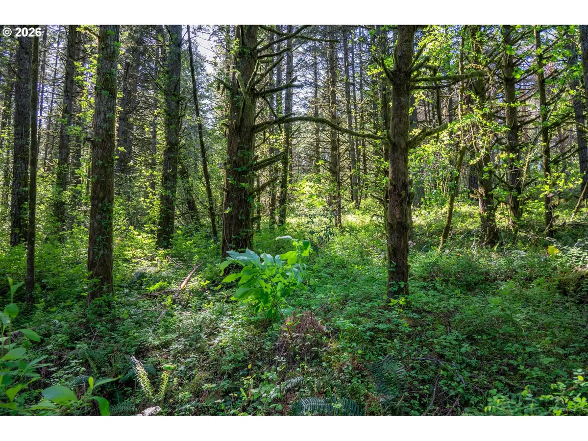 SW Mountainside Dr, Cornelius, OR 97113 - #1