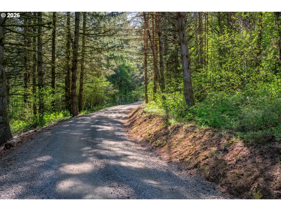 SW Mountainside Dr, Cornelius, OR 97113 - #3