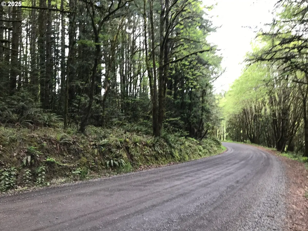 0 Finnigan Hill Rd, Hillsboro, OR 97123 - Image #1