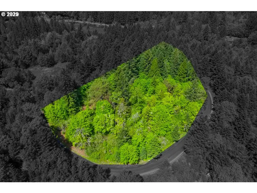 0 Finnigan Hill Rd, Hillsboro, OR 97123 - Image #3